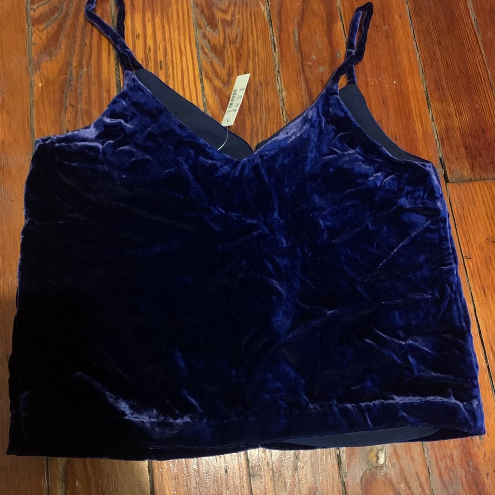 Madewell Deep Blue Velvet Camisole - Picture 4 of 5